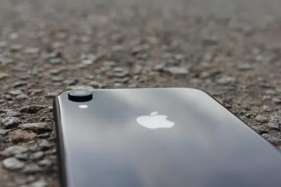 Kaszinó Jungle Raja Mobilalkalmazás